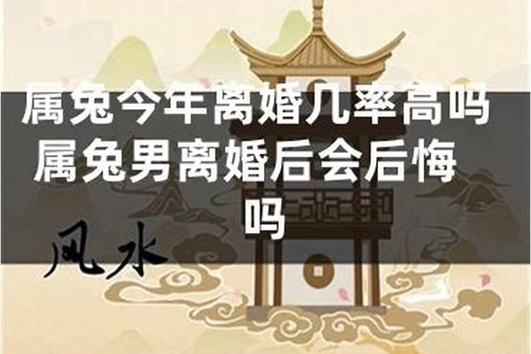 属狗的今年离婚率多高