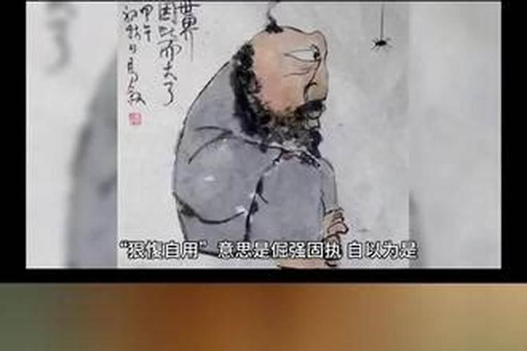 上打一动物生肖