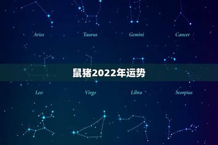 2021年生肖猪爱情运势