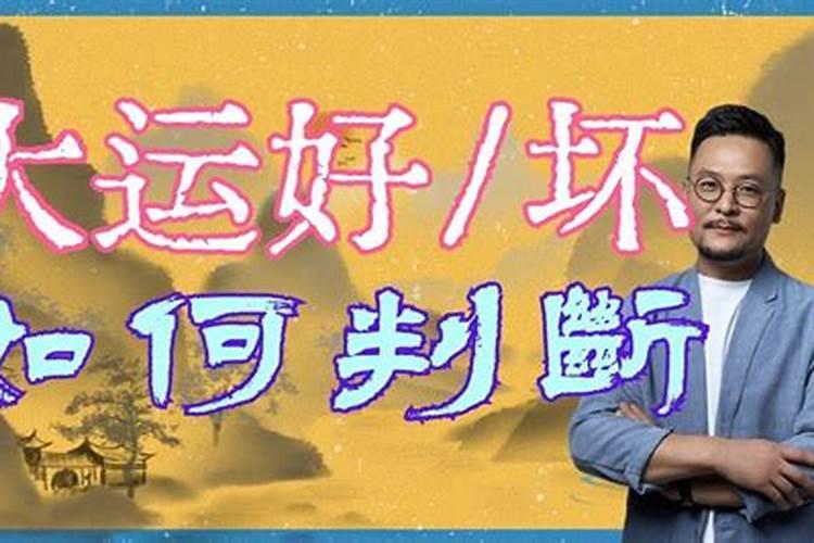 1994年11月13日生辰八字