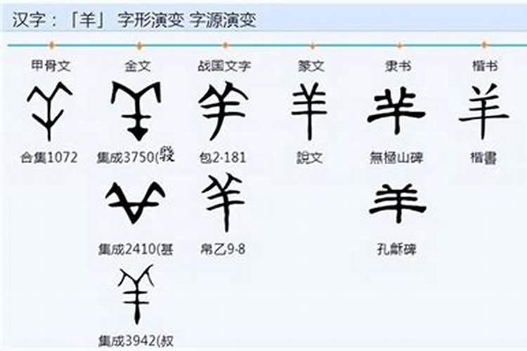 权字五行属什么？