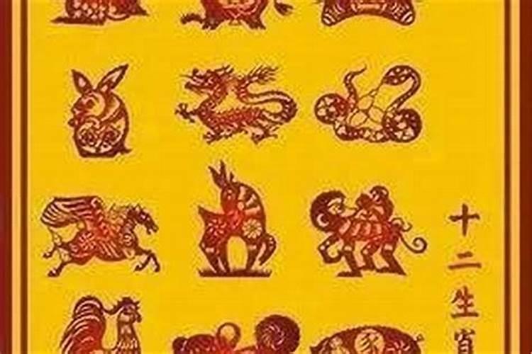 明天年属什么生肖？