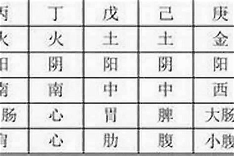 八字必须掌握的基础知识