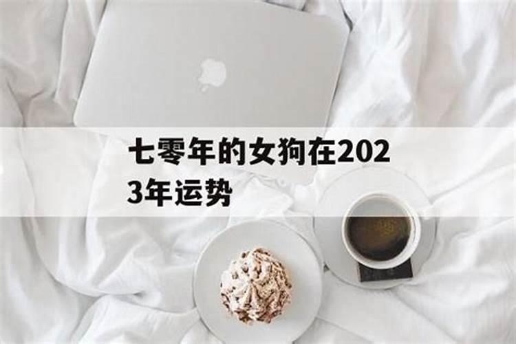 七零年生肖狗到了2020年运势怎样