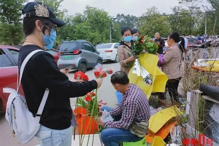 柳州清明祭扫