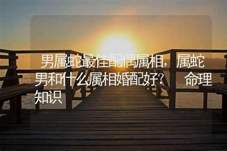 男蛇与什么属相婚配好？