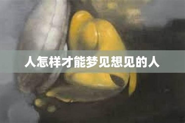 梦到想见的人代表什么？