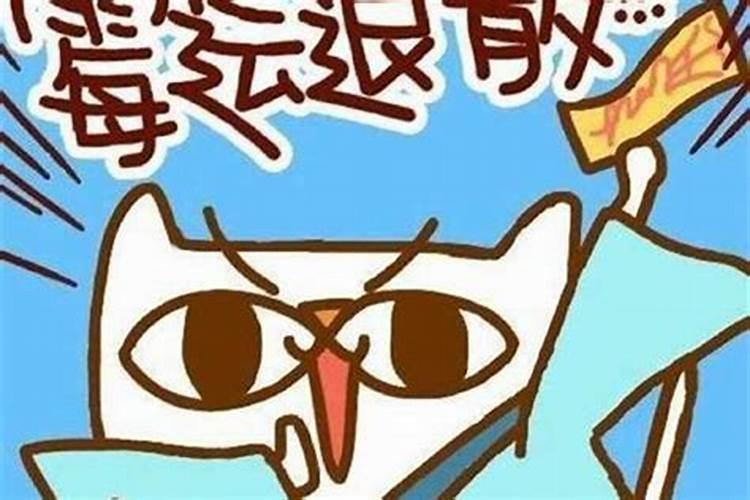 猪和狗八字相配吗