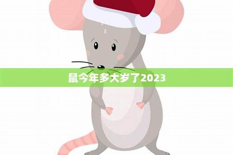 2023鼠年今年几多岁