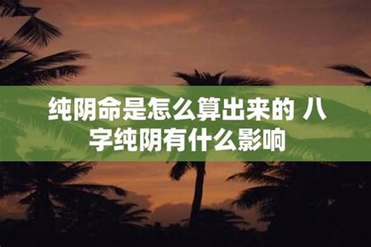 八字纯阴是什么命