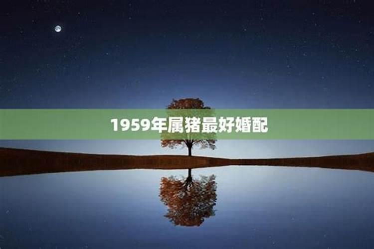 1959年属猪的婚配