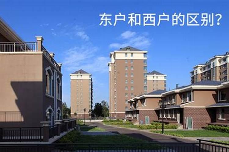 买楼住东楼头好还是西楼头好