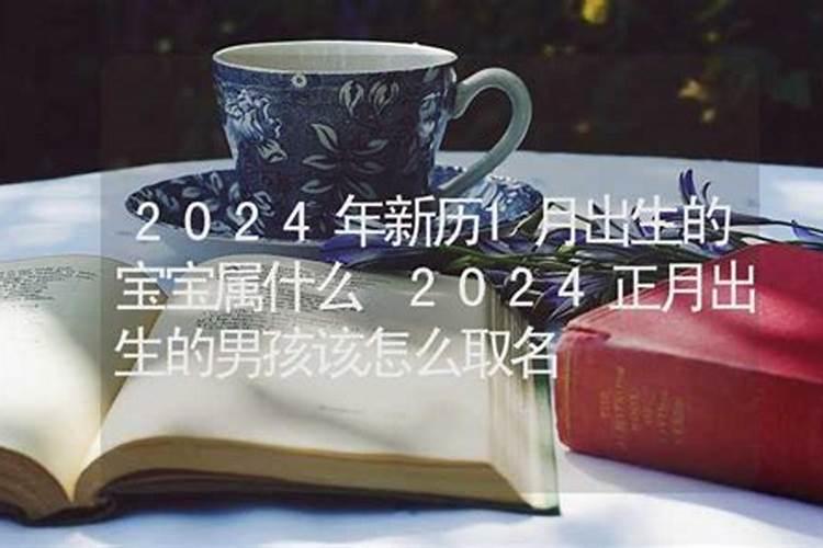 2024.1月份出生的宝宝属相