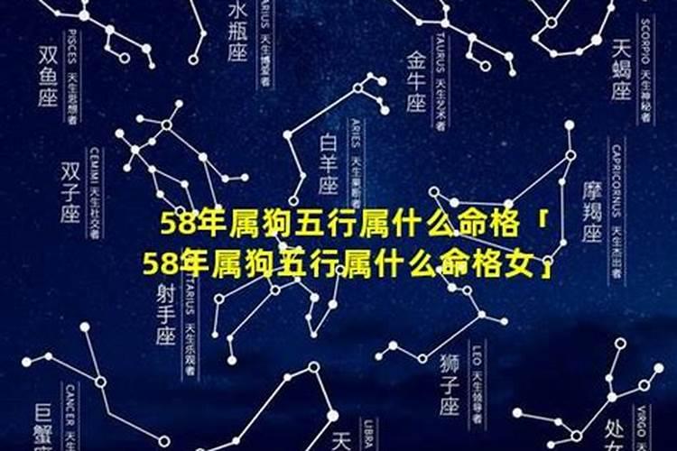 58年属狗人一生运势怎么样