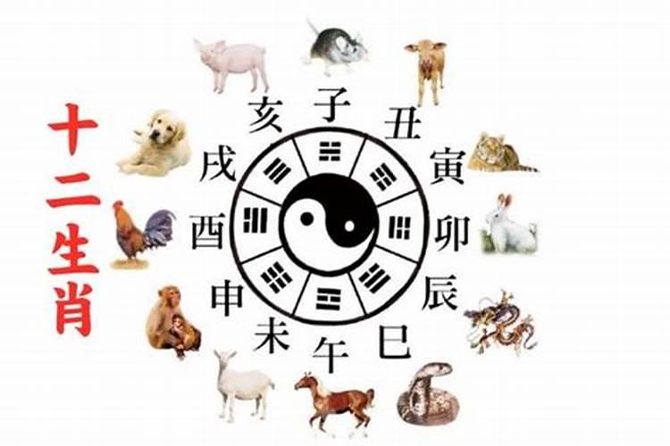 结婚的月份与属相犯冲怎么办