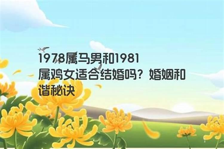 78年属马与81年属鸡的婚姻