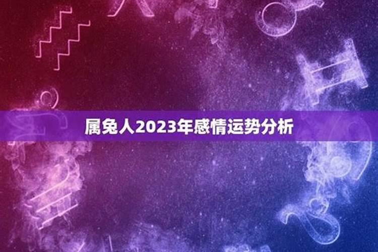 属兔人2023年感情运势