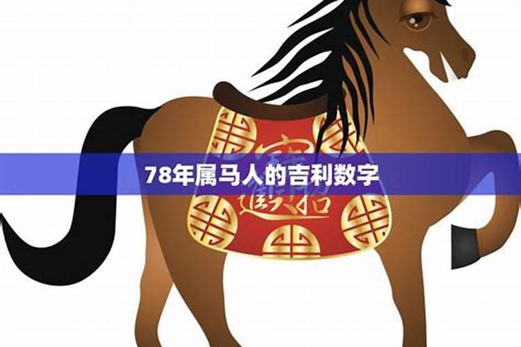 78年属马43岁运势2023年运势