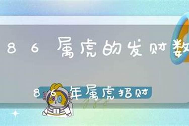 属虎发财数字组合