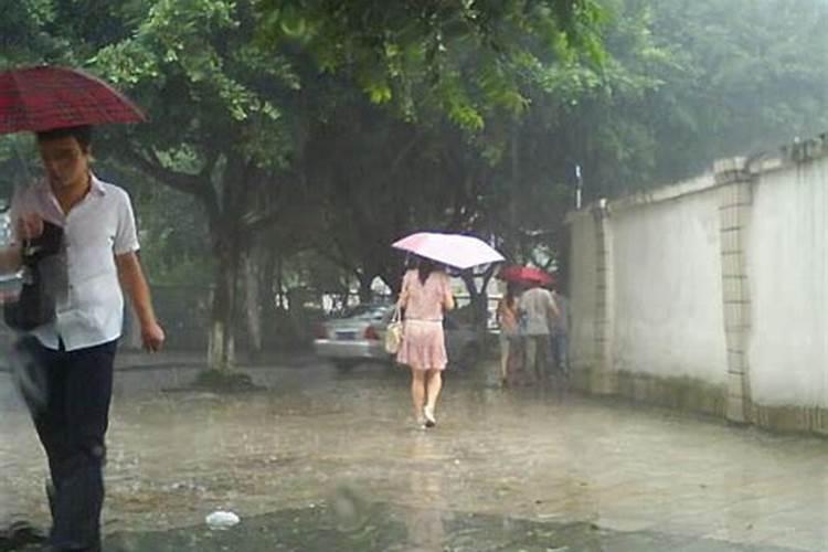 梦到下大雨遍地都是水和鱼