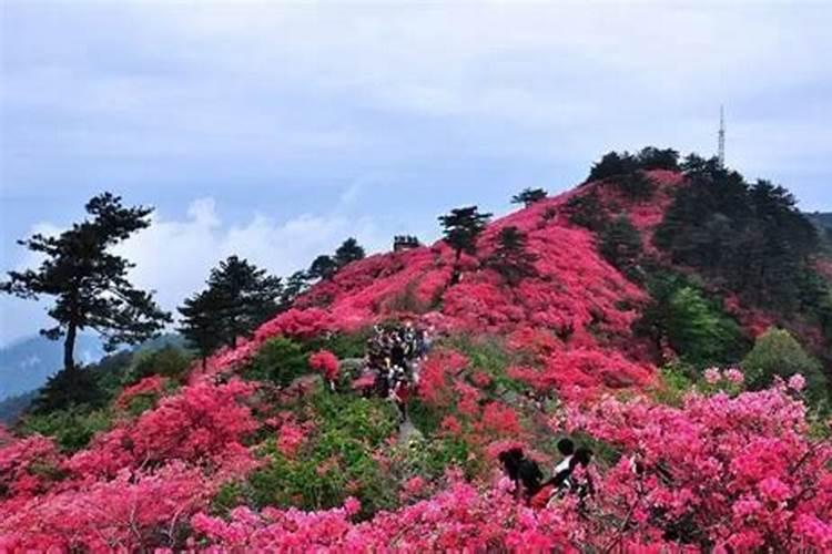 怎么知道本命年是不是犯太岁