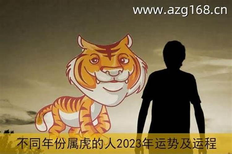 属虎2023年运势及运程详解