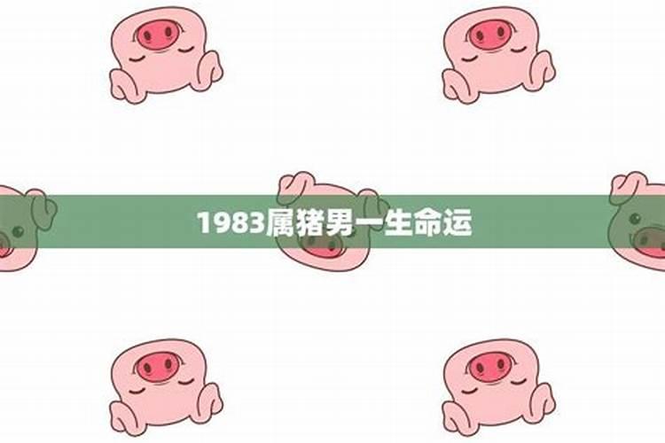 1983年属猪男一生运程