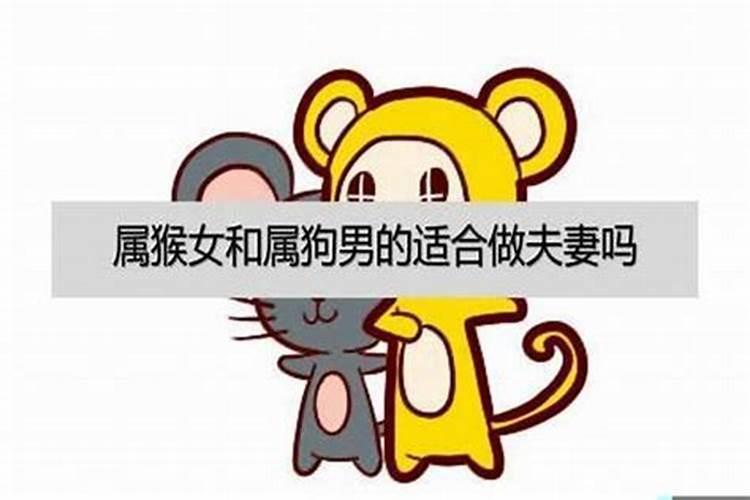 生肖狗男和猴女今年什么时候结婚最好呢