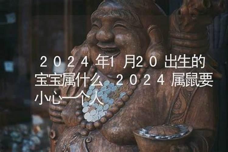 2024年鼠年宝宝属于什么命