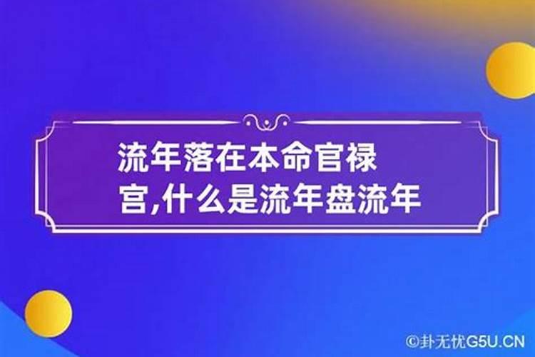 官星禄位是什么意思