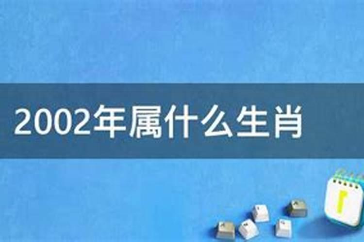 2002年属什么的命