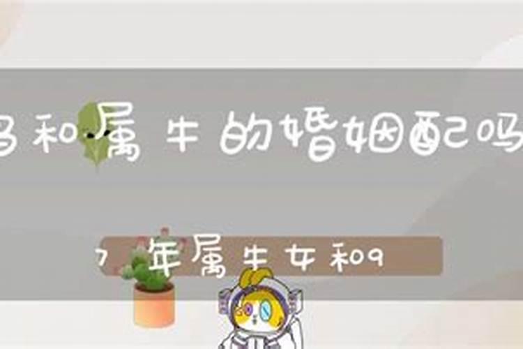 97年属牛女和94年属狗男两人婚配吗？