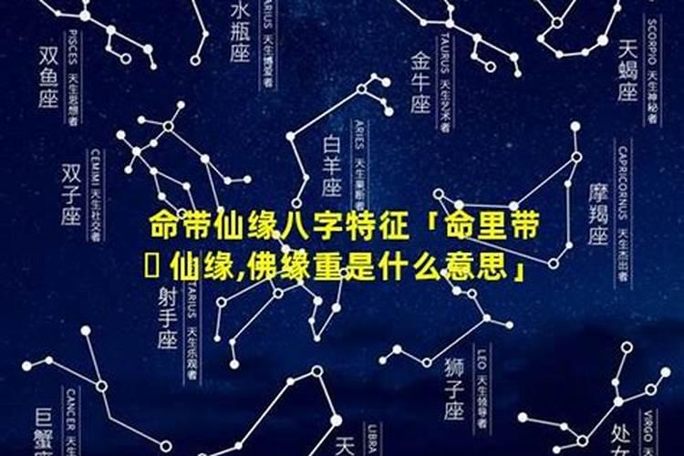 仙缘佛缘重的人应该注意什么