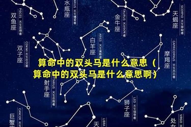 梦到自己牵马是什么意思