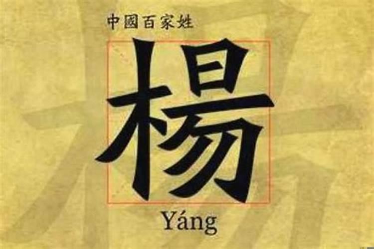 姓杨，男孩取什么名字好