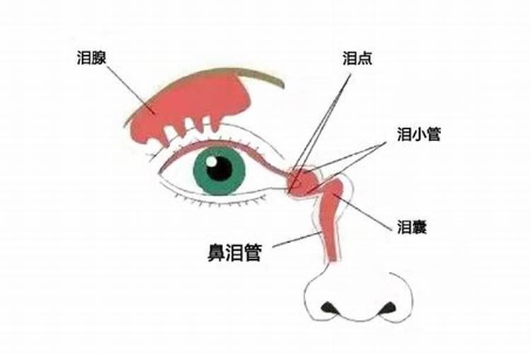 中元节怎么祭灵