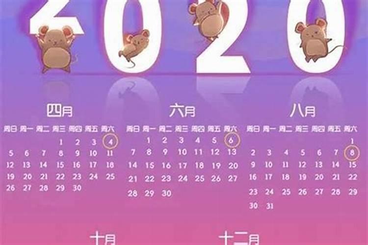 2024年几月出生的牛最苦