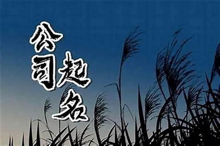 寓意吉祥公司名字大全