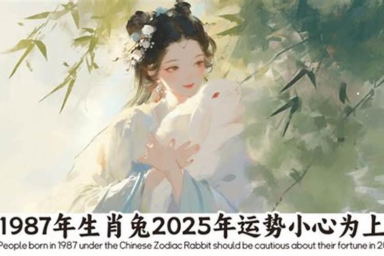 2023年12月属狗人运程如何