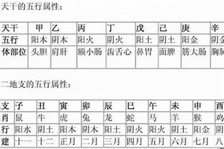 八字五行旺衰的判断方法