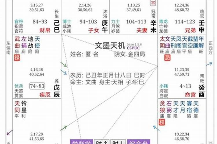 紫微斗数十二星入命宫