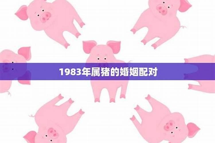 1983属猪女最佳配偶是谁