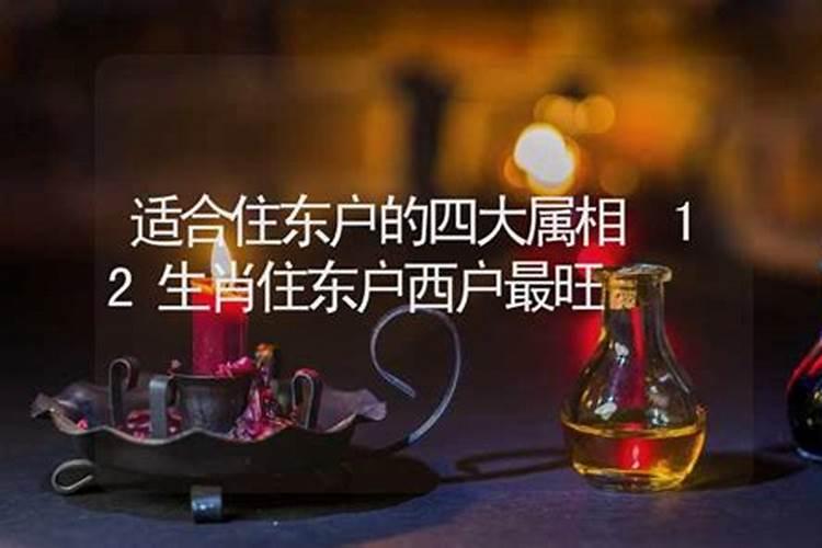 属羊东户西户哪个好