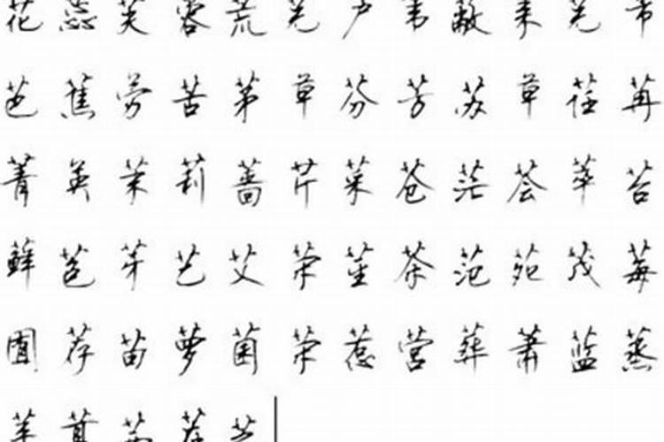 草字头的字哪个适合男孩名字