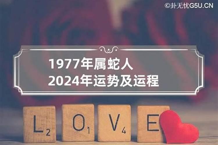 1977年属蛇人2024年运势及运程