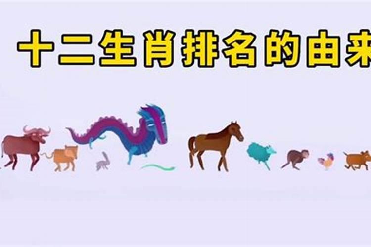 十二生肖是根据什么排名的