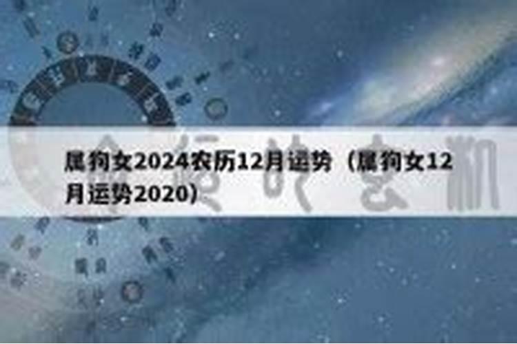 属狗的人2024年的运势及运程