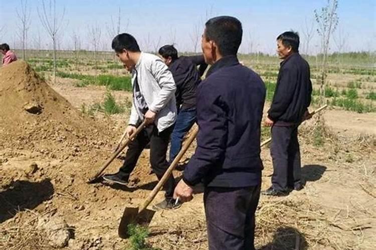 清明节上坟添土吗