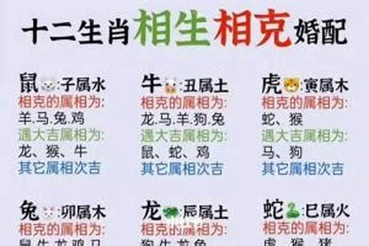 家里四口人两个属相好不好