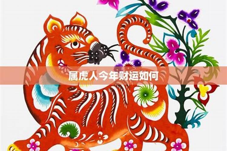 生肖属虎的今年财运如何